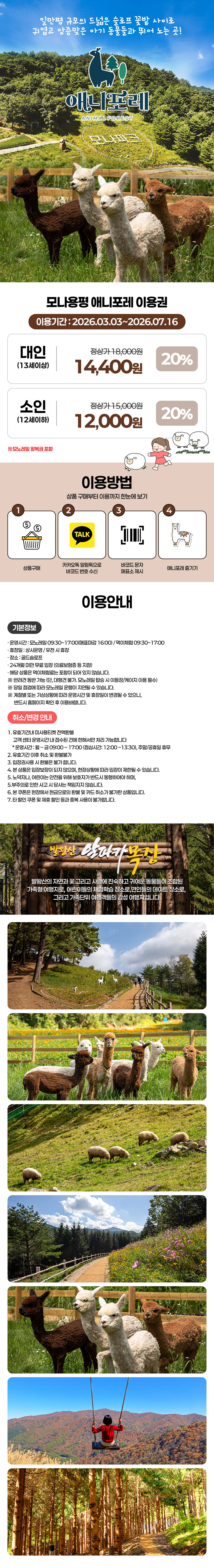 20260225_모나용평_애니포레_상시.jpg