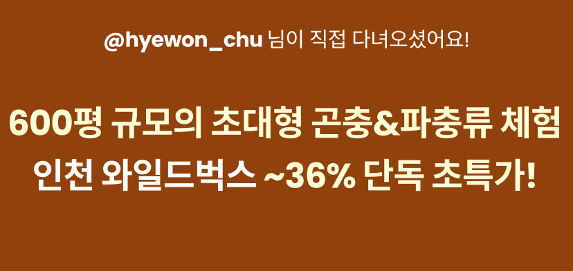 와일드3.png