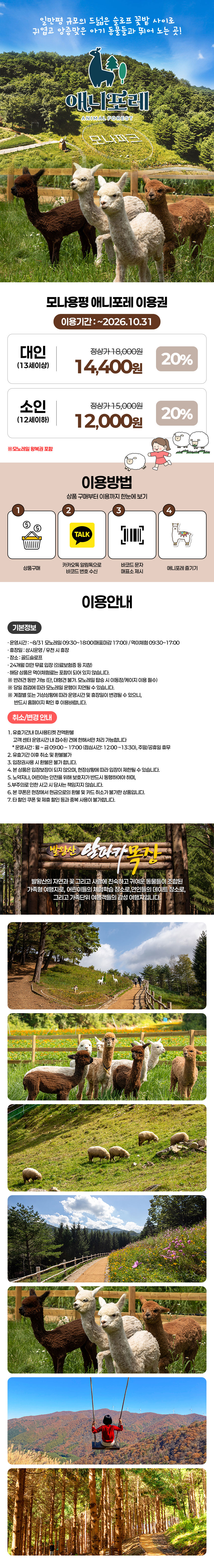 20260710_모나용평_애니포레_상시.jpg