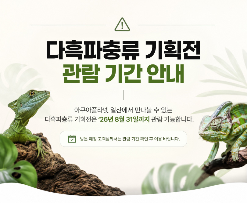 다흑파충류기획전_안내배너.jpg