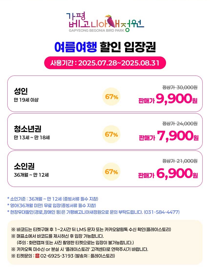 베고니아가격.jpg