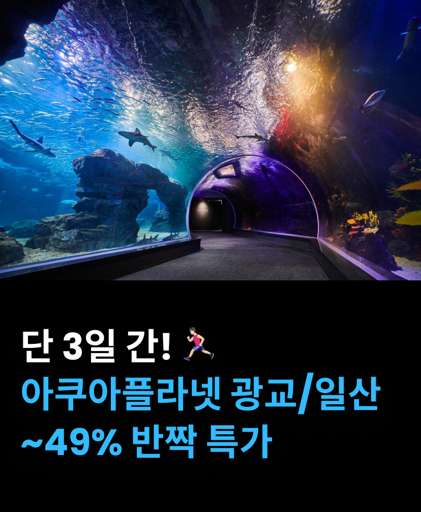 아쿠아1.png