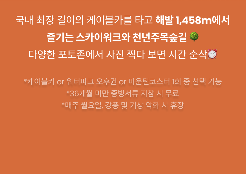 용평6.png