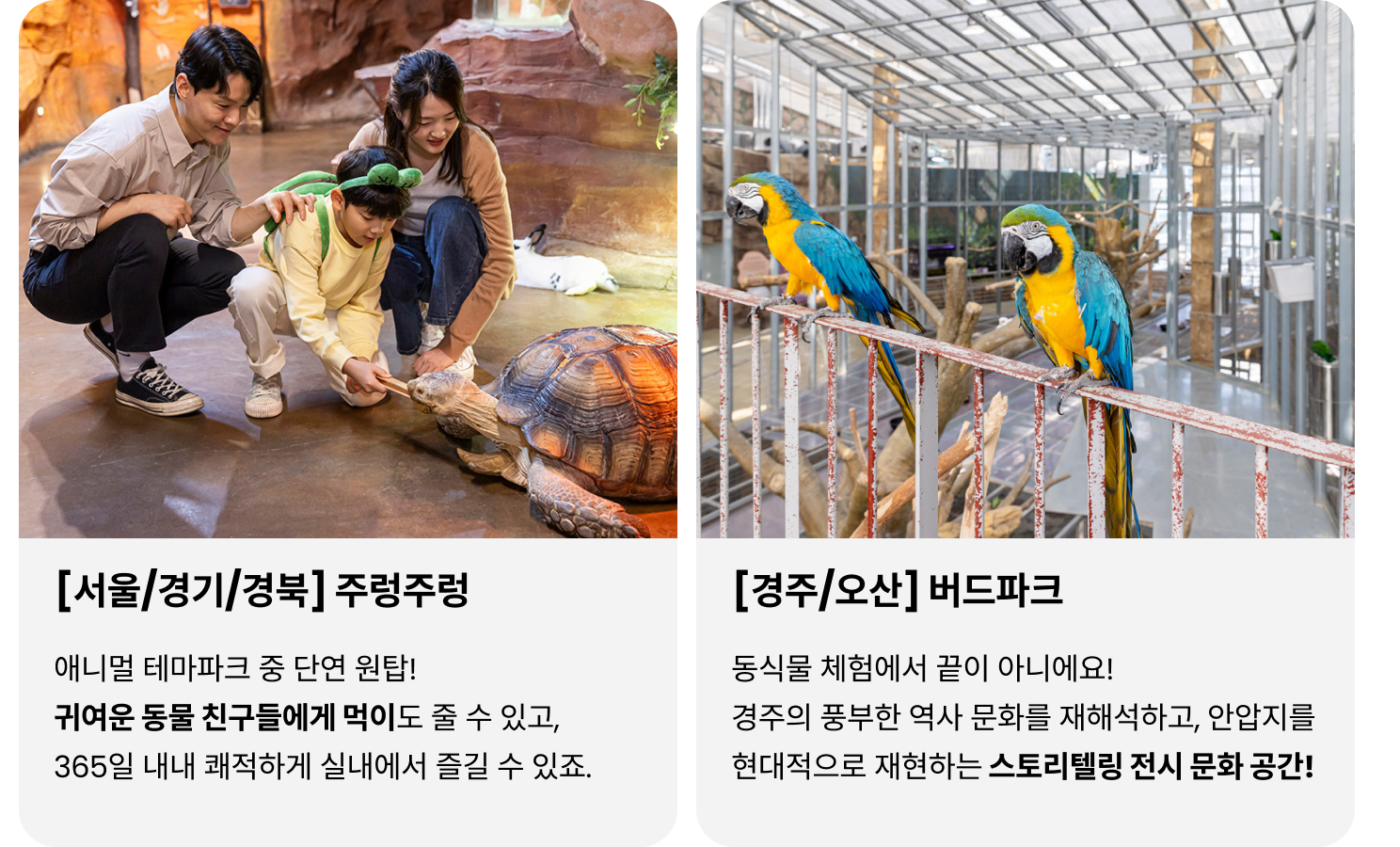 carousel-레고놀이2.png