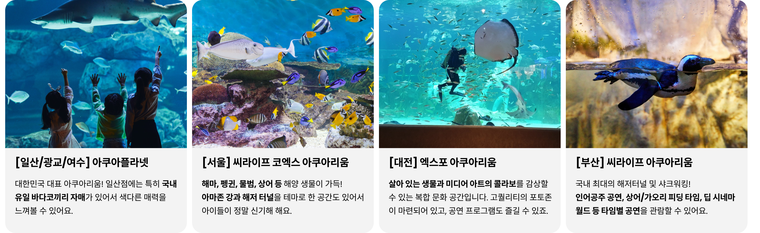 carousel-레고놀이2.png