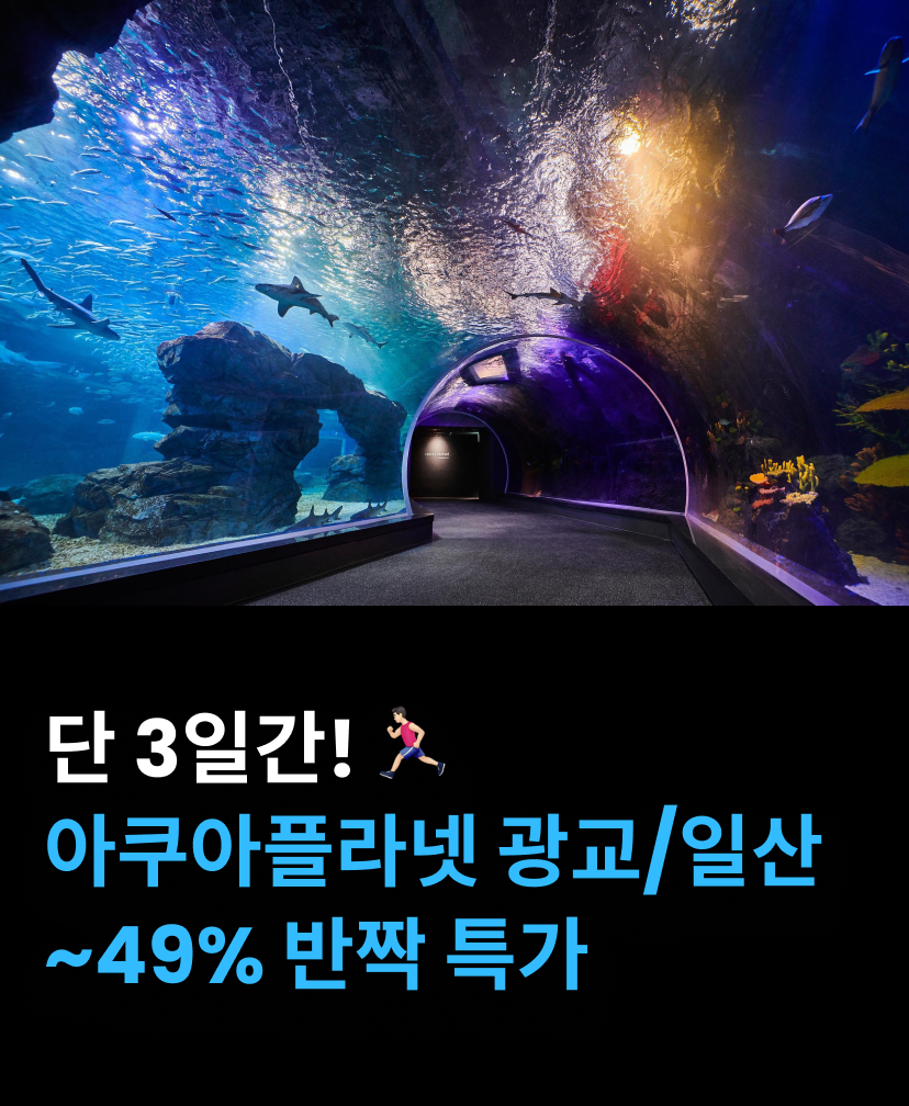 아쿠아1.png