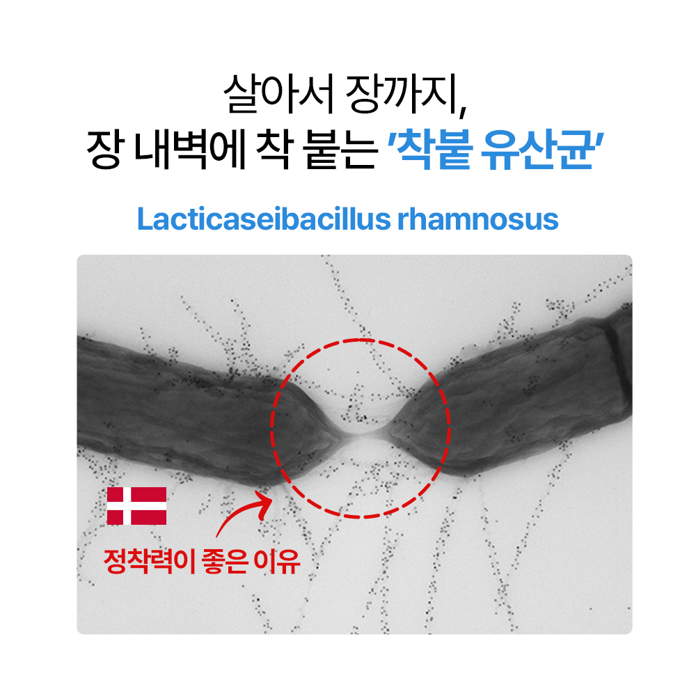 아마존_목록이미지_아기-유산균-