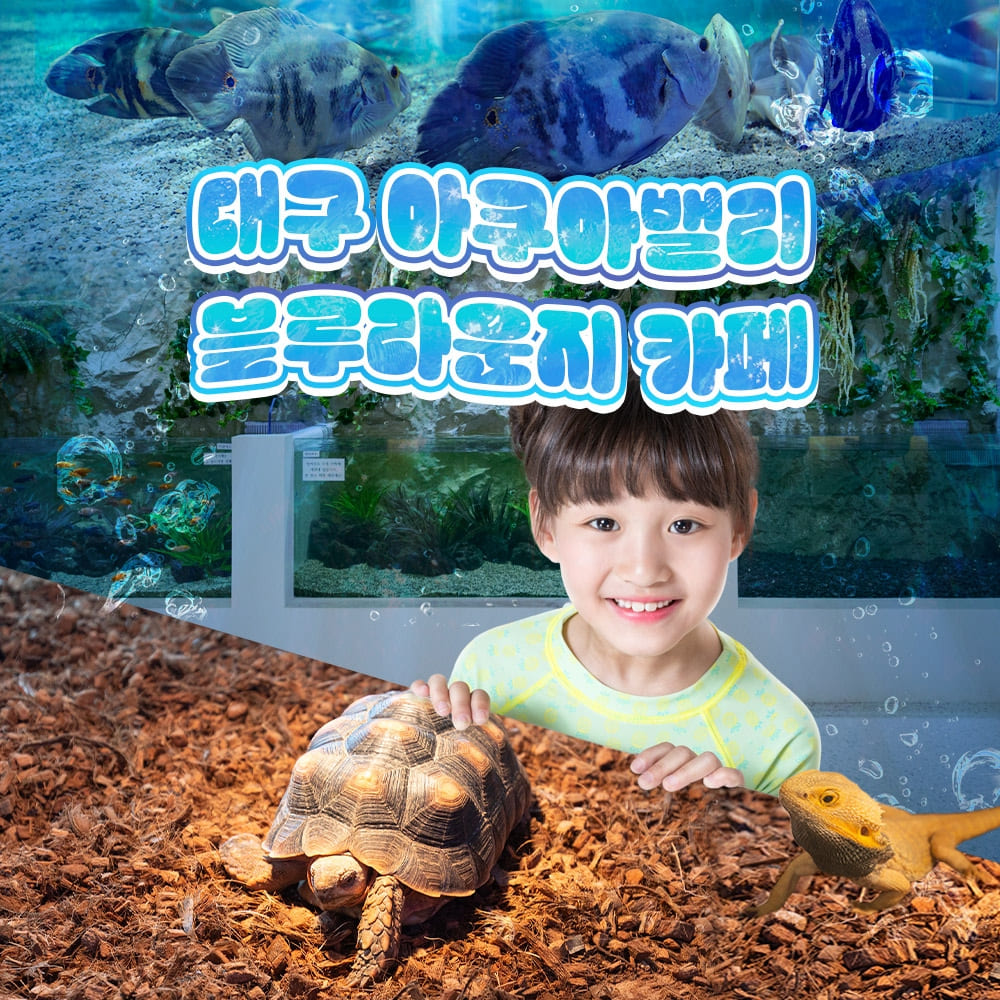 [대구] 카페거부기 in 아쿠아밸리